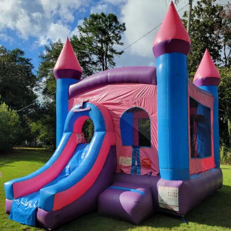 22ft princess combo wet or dry