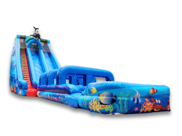 Aquatic Adventure Water Slide with Slip & Slide