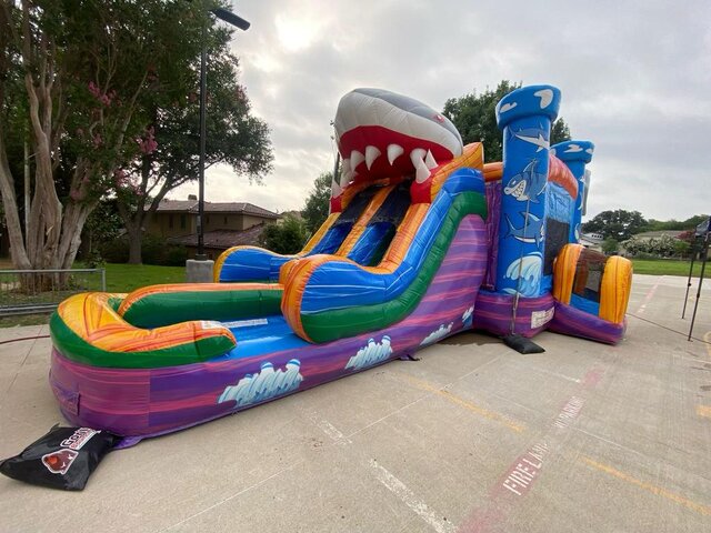 30ft 5-in-1 Shark Dry Combo