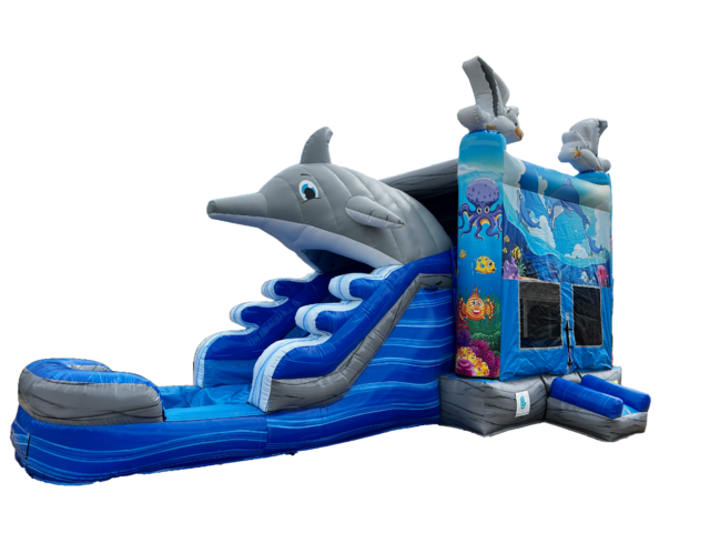 27ft Dolphin Combo Waterslide