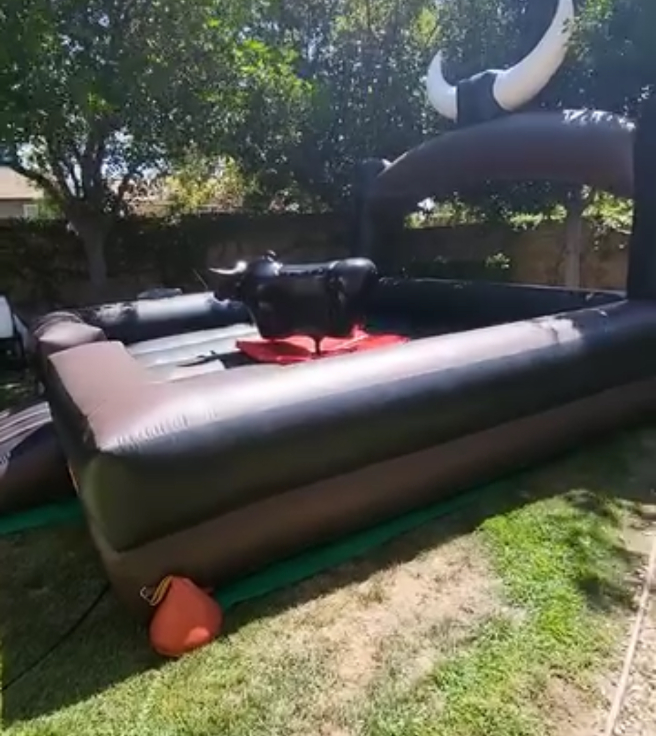 Black And Brown Mechanical Bull - Image 3